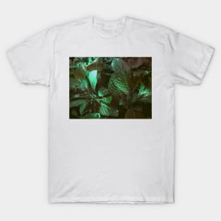 Natura Dreams IX T-Shirt